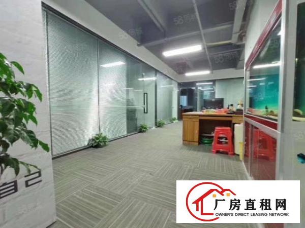  杨美B出口，新出325平，带隔间，豪华装修，车位充足