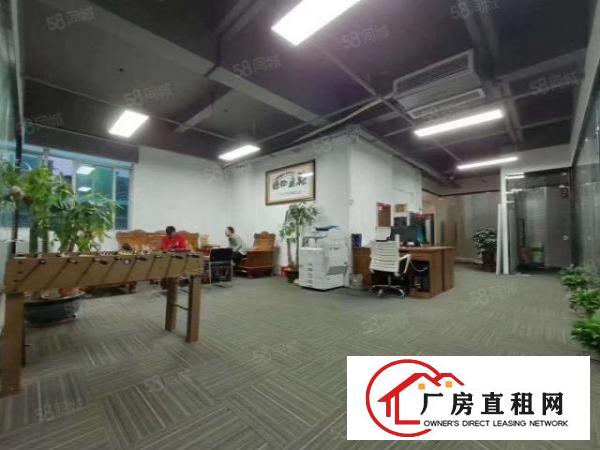 杨美B出口，新出325平，带隔间，豪华装修，车位充足