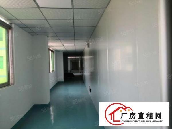  非中介）龙岗业主直接转让转租精装无尘车间办公室