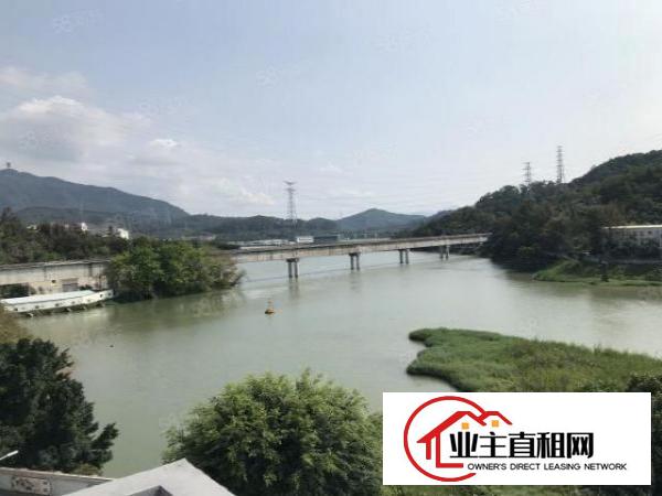  BT临近罗湖布吉办公室出租