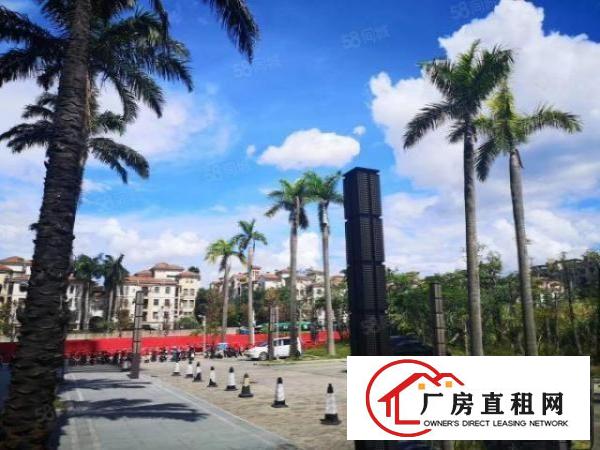  坂田华为基地旁，精装修甲级办公室350平，3加1格局，带阳台