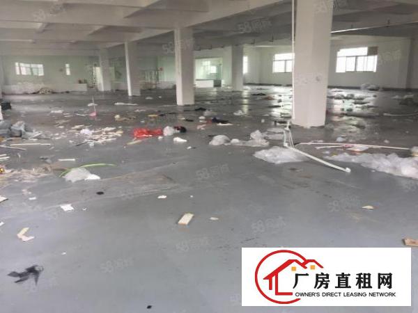  杨美路，新出原房东2000平，零公摊，可以分，租金26