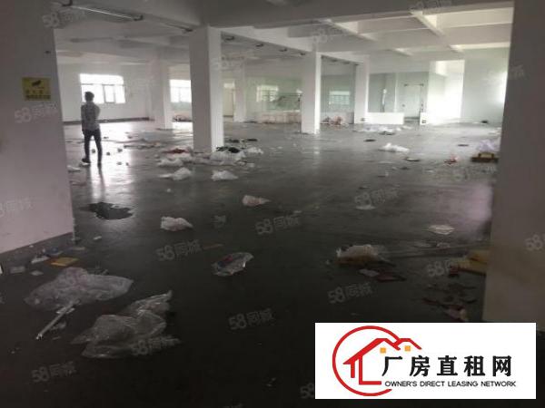 杨美路，新出原房东2000平，零公摊，可以分，租金26