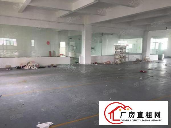  杨美路，新出原房东2000平，零公摊，可以分，租金26