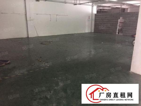  杨美路，新出原房东2000平，零公摊，可以分，租金26