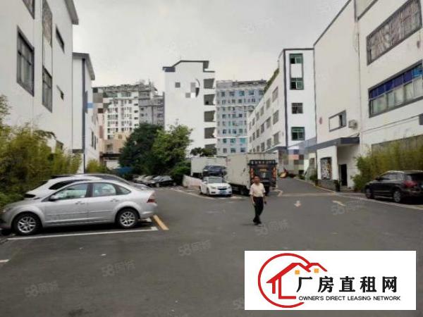  坂田五和光雅园地铁站附近新出精装一楼场地2000平出租