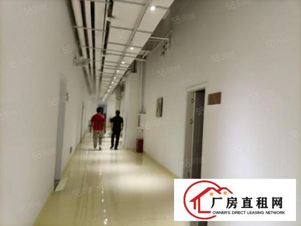  坂田22800平方红本花园试厂房出租，
