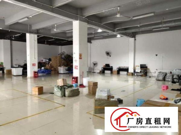  坂田地铁口新出一楼2000平厂房出租