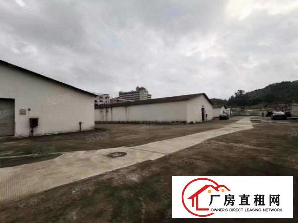  丹竹头原房东2000平厂房仓库出租大小可分租（合租）