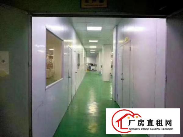  平精装修1400㎡，可近进货柜，靓盘租的快，赶紧来！