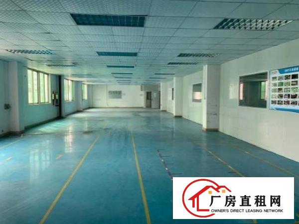  出租龙岗区平湖山厦杉坑工业区无尘车间