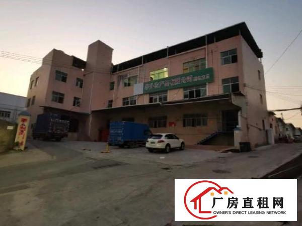  龙岗海吉星农批市场附近厂房仓库招租