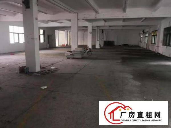  龙岗海吉星农批市场附近厂房仓库招租
