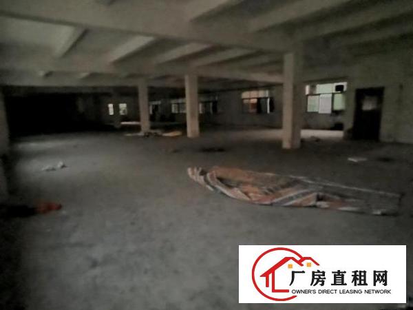  龙岗海吉星批发市场附近厂房仓库招租