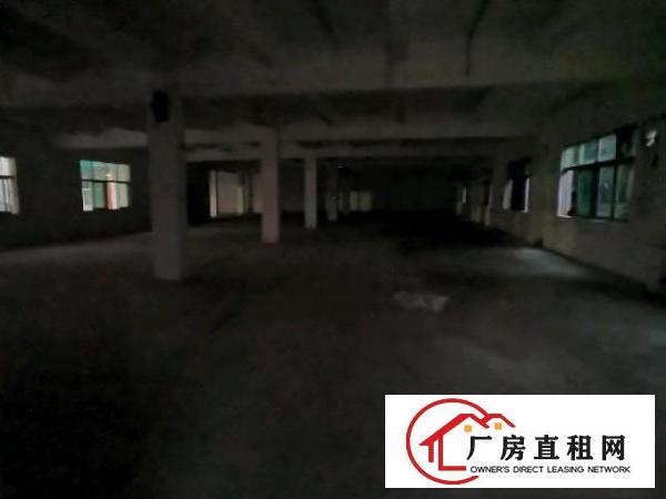  龙岗海吉星批发市场附近厂房仓库招租