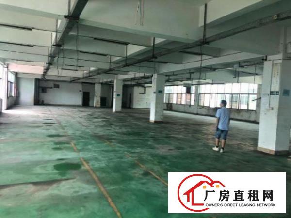  原房东独院厂房6000平