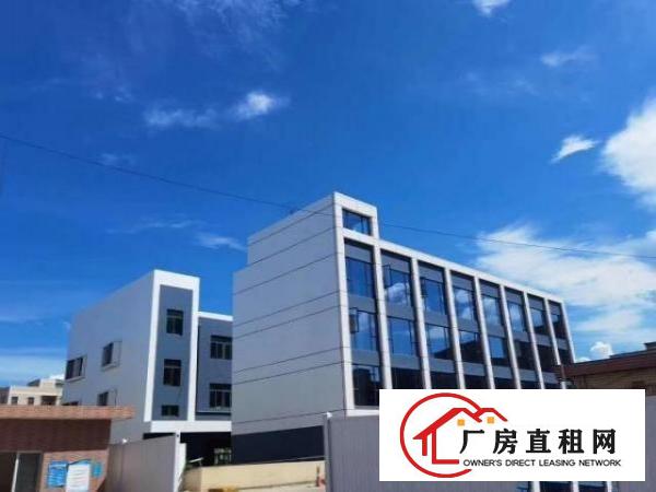  龙岗新木创新产业园大面积厂房，钢构，写字楼出租，可分组