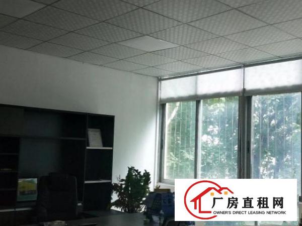  深圳平湖广场附近，地铁口旁边