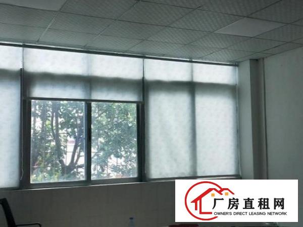  深圳平湖广场附近，地铁口旁边