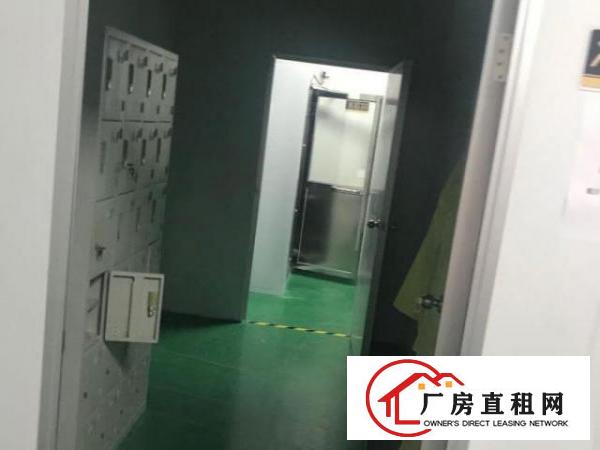  出租龙岗区平湖精装无尘车间厂房