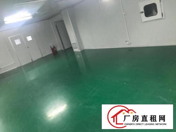  出租龙岗区平湖精装无尘车间厂房