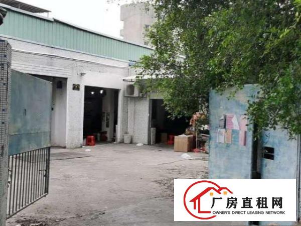  出租龙岗区平湖山厦社区金穗路9号800平一楼出租