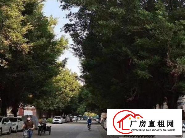  平湖华南城附近厂房出租