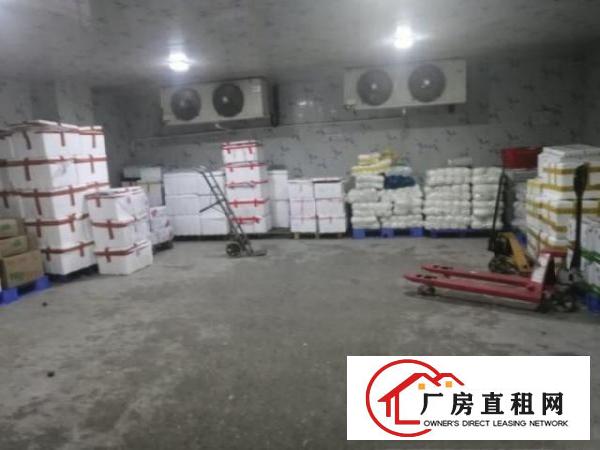  深圳平湖白泥坑一楼1500平带冻库，带装修标准厂房出租