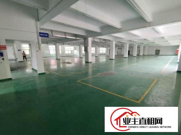 平湖富民工业区有楼上厂房出租1500平