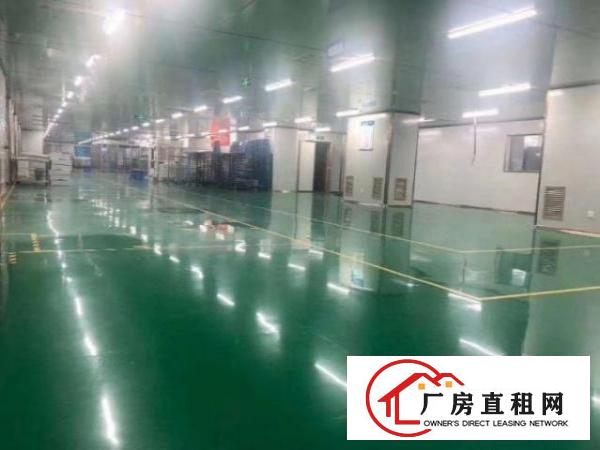  新出无尘车间6000平方低价招租