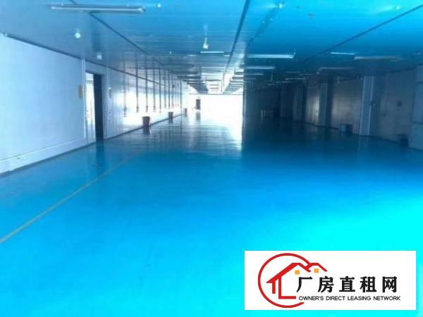  新出无尘车间6000平方低价招租