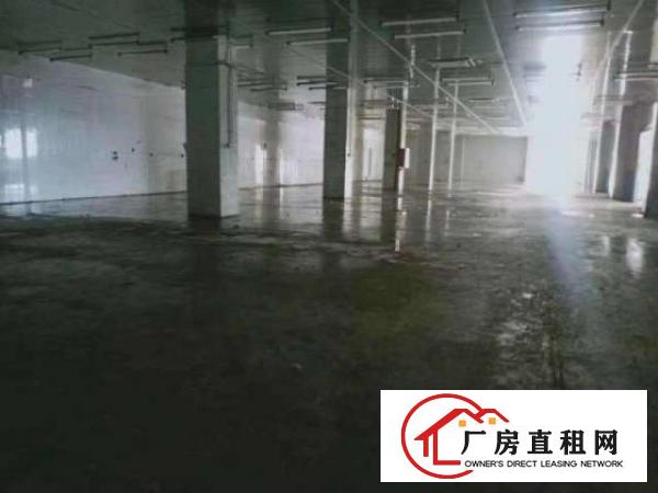  平湖海吉星附近3600平整栋食品，冷链配送厂房出租，冷库多