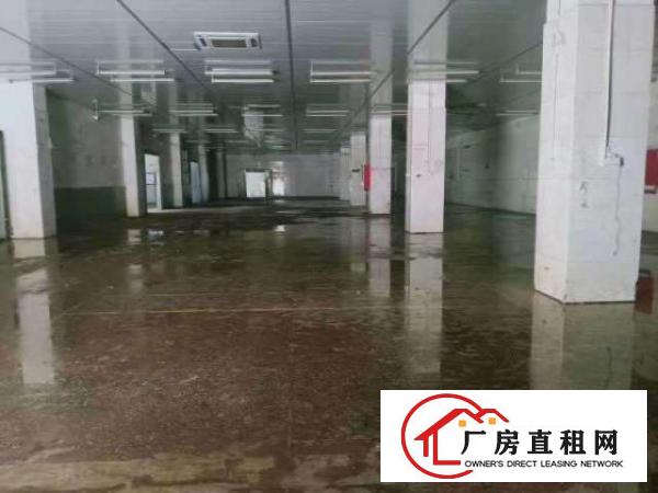  平湖海吉星附近3600平整栋食品，冷链配送厂房出租，冷库多