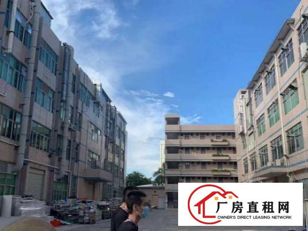  平湖富民工业区8成新标准一楼550平厂房带办公室装修