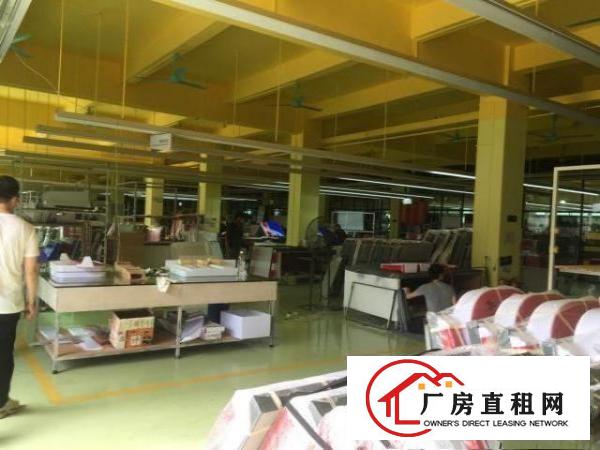  辅城坳工业区杉坑一楼厂房，800平方。
