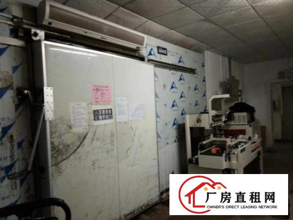  平湖工业区冷冻加工厂出租一层面积1200平适合鱼类肉类价格