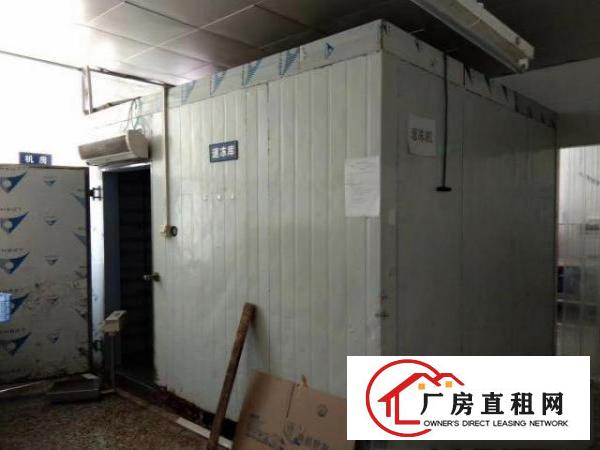  平湖工业区冷冻加工厂出租一层面积1200平适合鱼类肉类价格