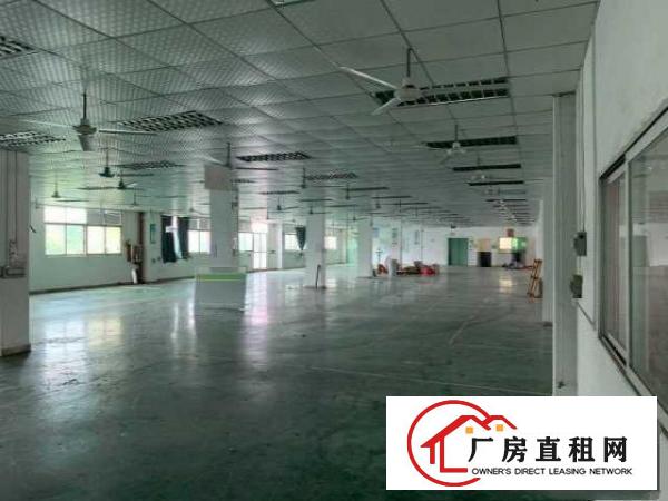  出租龙岗区平湖厂房和厂房