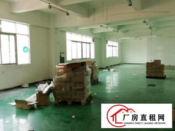  鹅公岭新出290平二楼带水电装修有电梯户型方正