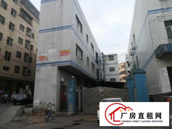  平湖鹅公岭独院一楼整层800平无公摊