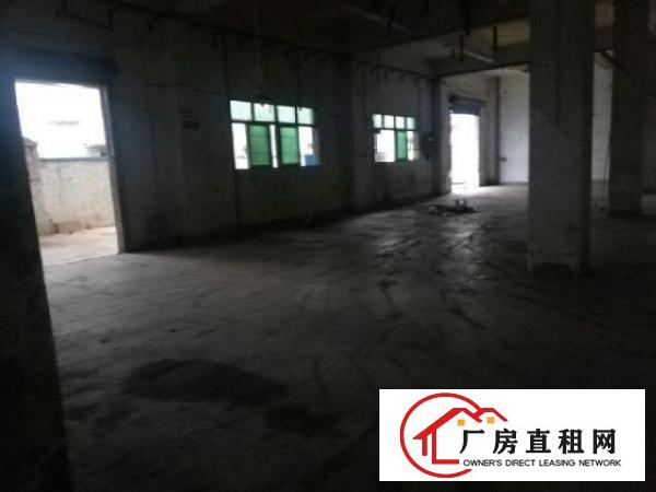 平湖鹅公岭独院一楼整层800平无公摊