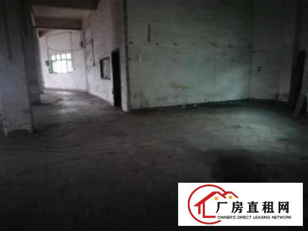  平湖鹅公岭独院一楼整层800平无公摊