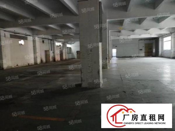  厂房招租近清平高速有电梯有车位