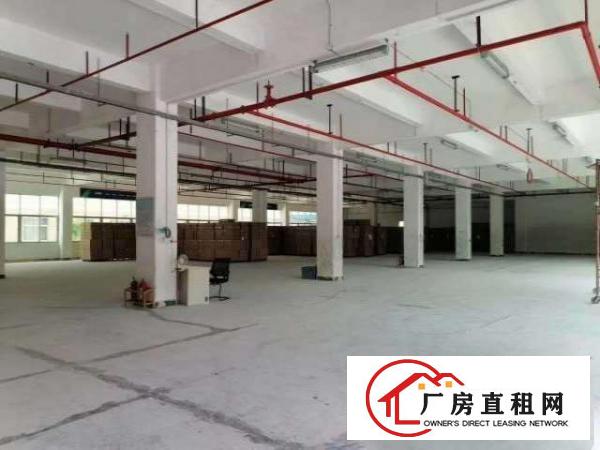  原房东厂房直租（可分租）
