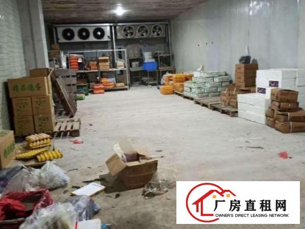  平湖海吉星附近3600平方整栋冷链，快消品，冷库配送厂房出租