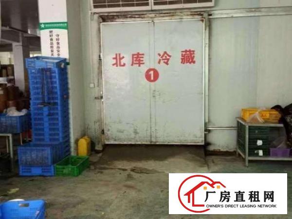  平湖海吉星附近3600平方整栋冷链，快消品，冷库配送厂房出租