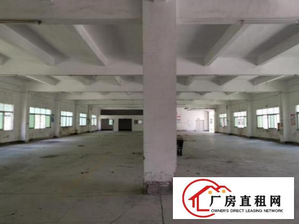  平湖富民超靓独院5800平，带装修，可分租