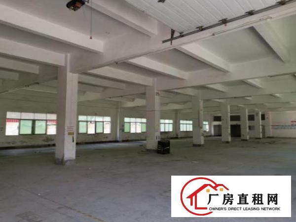  平湖富民超靓独院5800平，带装修，可分租
