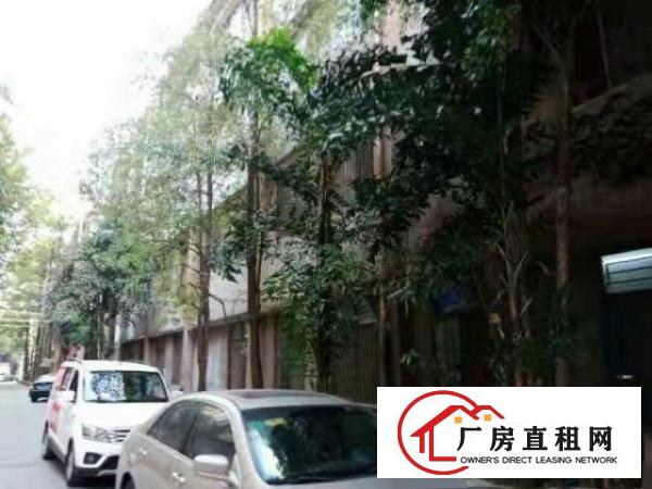  平湖厂房招租带电梯独栋独院