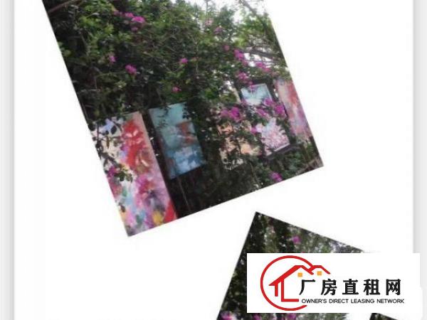  华南城高速出口，花园厂房400平米（4层），速低租